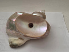 Art Deco Mother of Pearl Turban SEASHELL Pedestal Caviar Bowl, Vase, Dish!