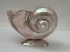 Art Deco Mother of Pearl Turban SEASHELL Pedestal Caviar Bowl, Vase, Dish!