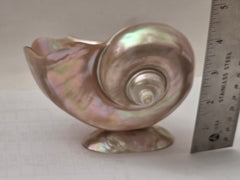 Art Deco Mother of Pearl Turban SEASHELL Pedestal Caviar Bowl, Vase, Dish!