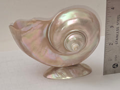 Art Deco Mother of Pearl Turban SEASHELL Pedestal Caviar Bowl, Vase, Dish!