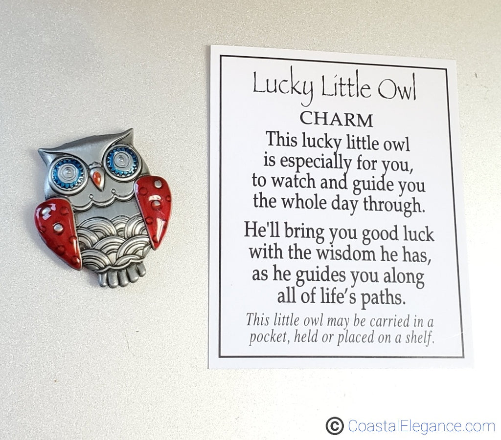 LUCKY LITTLE OWL CHARM WITH POEM!