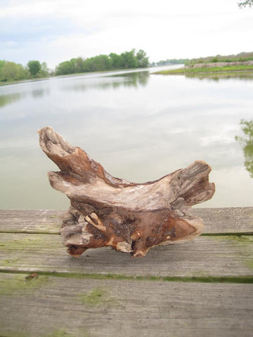 BEAUTIFUL KNOBBY DRIFTWOOD 12" x 8 1/2" x 4 1/2" Item #64